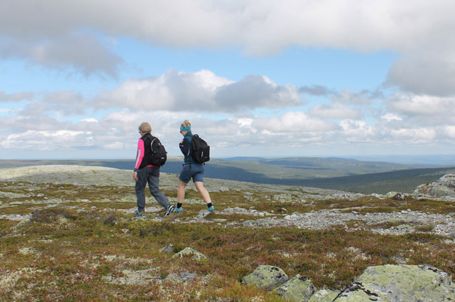 fjällvandring