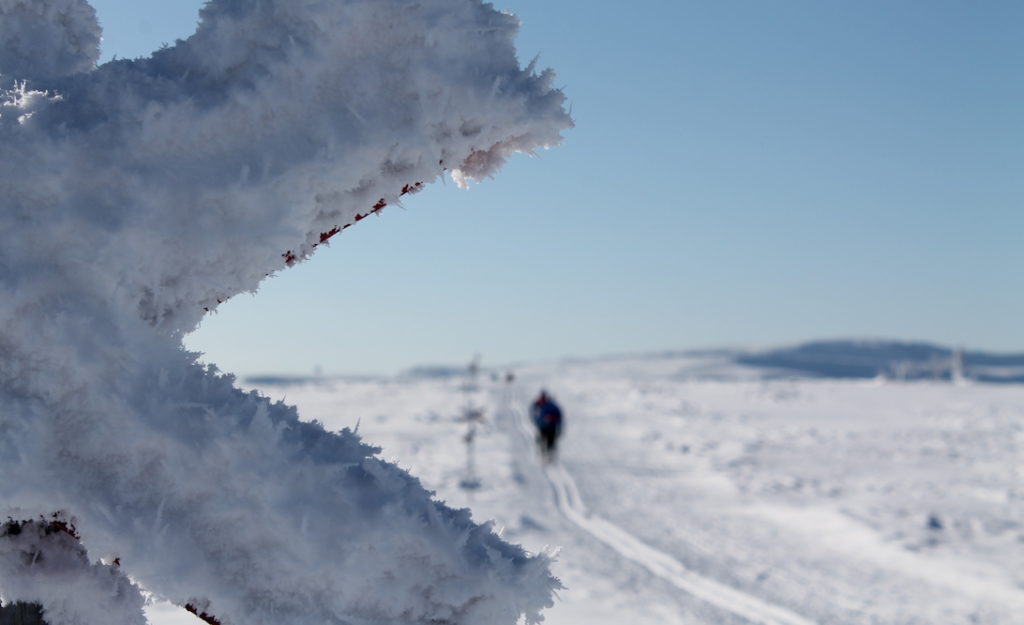 Turskidåkning i fjällen. Ledkryss i närbild med blå himmel bakom